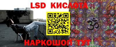 прущие грибы Бийск