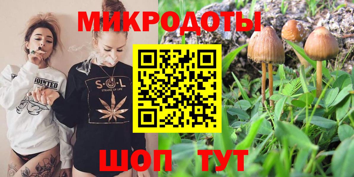 Жуковский  Псилоцибиновые грибы мицелий  Вход с VPN 